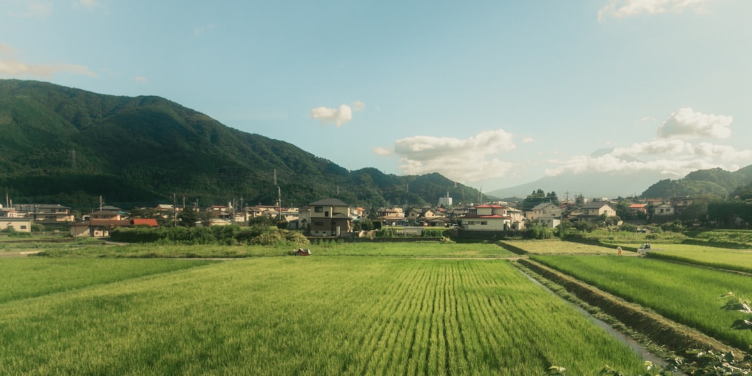 日本の地方都市の風景