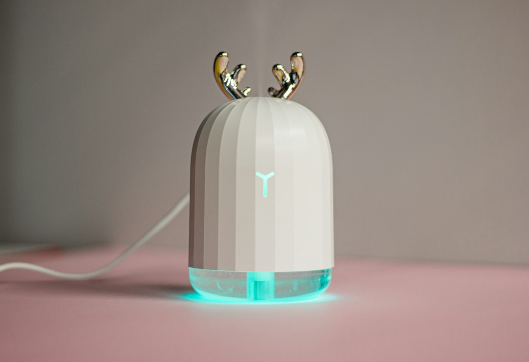 部屋に置かれた加湿器