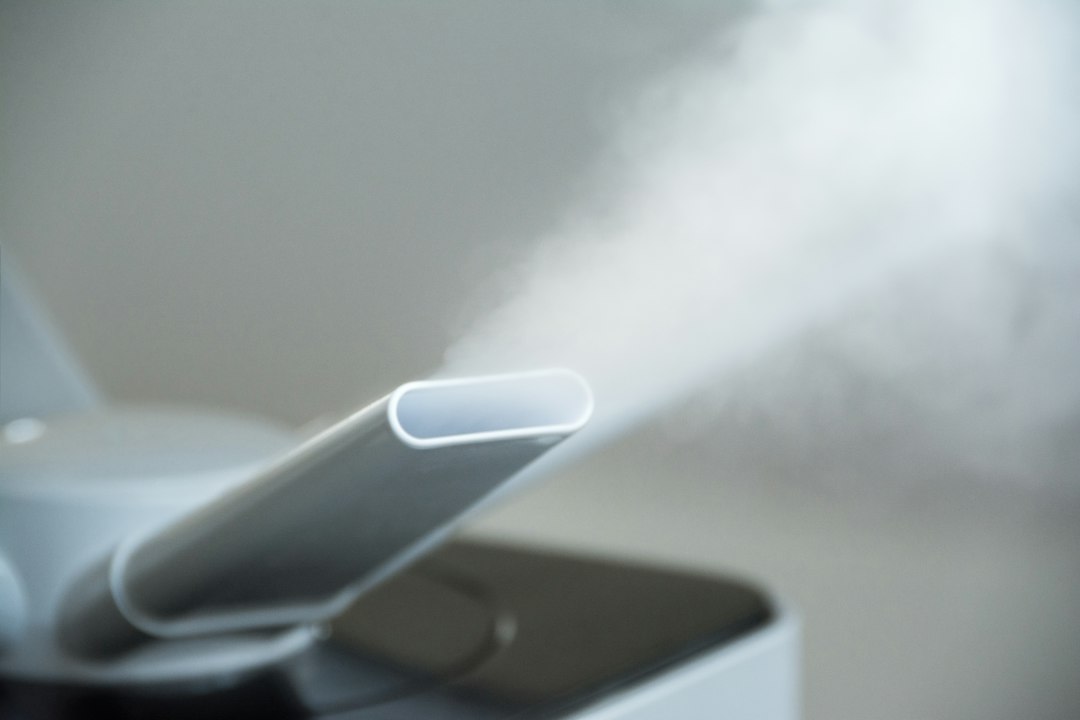 白いスチーム式加湿器