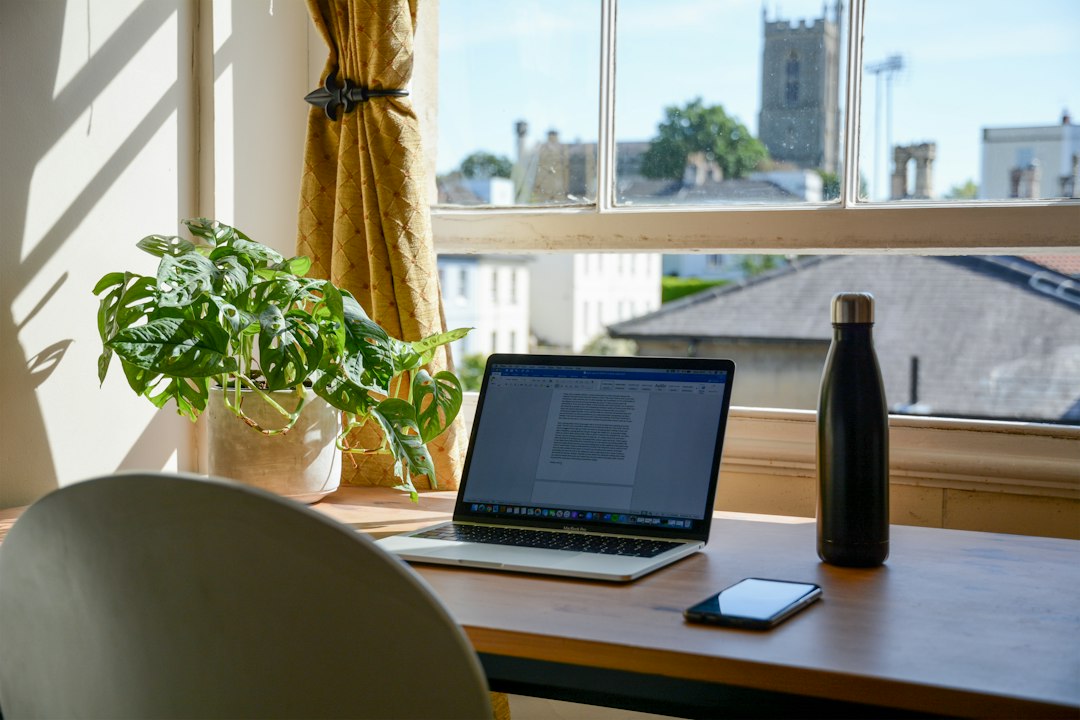 観葉植物のあるデスク